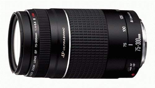 EF 75-300mm f/4-5.6 III
