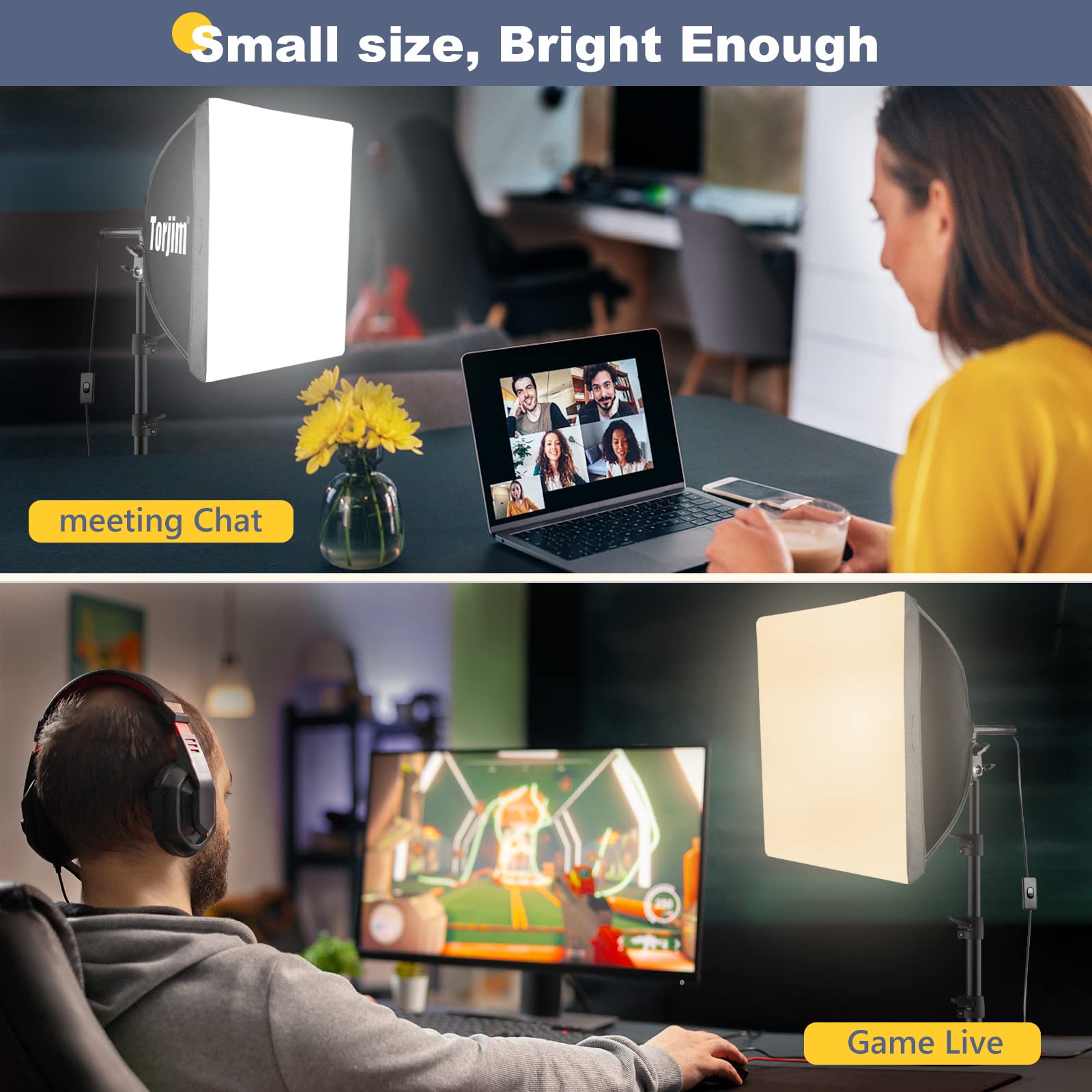 20" Softbox Lighting Kit with LED Bulbs
